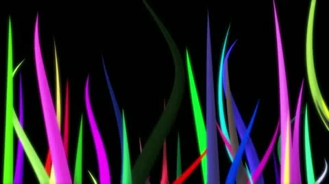 00006 Stock Footage 11627711