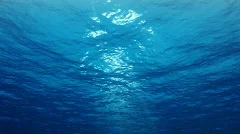 Underwater scene with faint sunrays shining through the water's surface (Looping