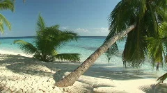 remote beach with palmtrees