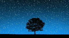 Stars Behind Tree