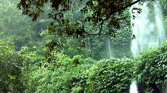 rain waterfall jungle