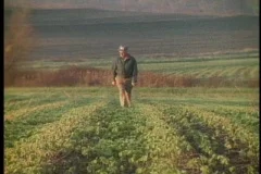 Farmer walking in field
