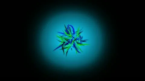 00017 Stock Footage 11627264