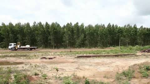 0002-Amazon-Deforestation-Logging-Replanting-Train-2 Stock Footage 22181555