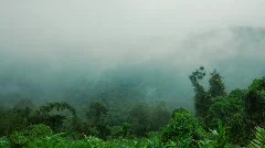 Rain forest clouds time-lapse nr 1