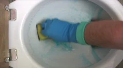 Scrubbing the Toilet