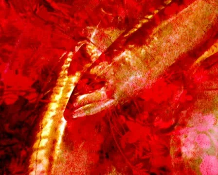 00027 VJ Loops  - LoopNeo 720 X 576 库存影片 10733440