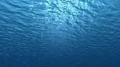 Underwater Tilt Deep