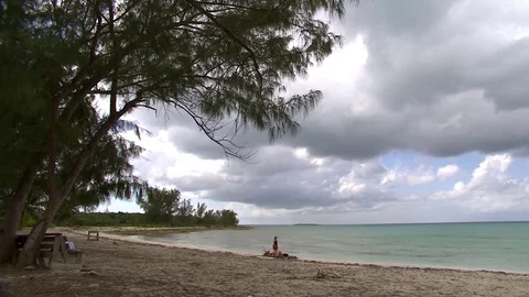 000290 Video stock 73239826