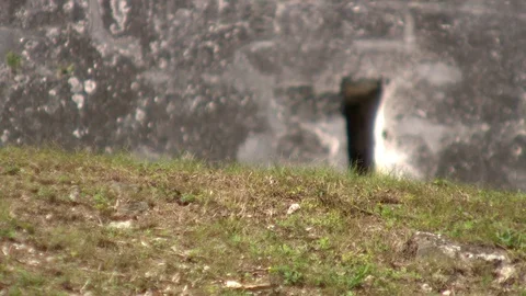 0002Q7 Video stock 73274626