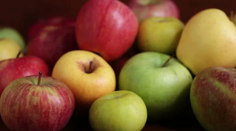 0003 Apples, biodiversity Stock Footage 30589542