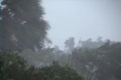 Hurricane Winds and Rain