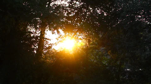 00032 Stock Footage 27786361