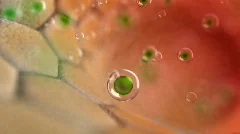 ill cells and green medicine - 3d animation