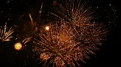 Fireworks Exploding in the Sky