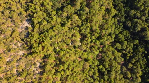 0004  Turkey ProRes422 Graded Stock Footage 323705242