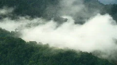 Rain forest clouds time-lapse nr 4