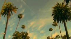 Rodeo Drive palm trees at sunset - HD 