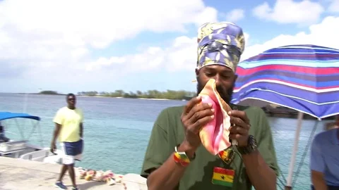 00047F Video stock 73304696