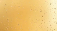 Bubbly Champagne - HD Loop
