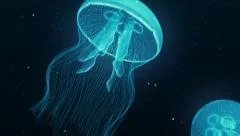 Jellyfish Nightlights spectacular swimming loop.