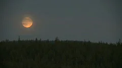 Moon over forest
