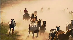Cowgirls Roundup Horses Golden Sunset 18 59.94
