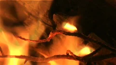 Forest fire closeup