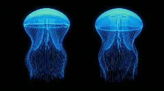 Jellyfish Nightlights Assets Blue