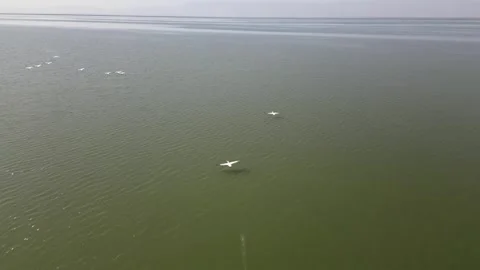 0006 库存影片 246716211