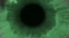 green eye track