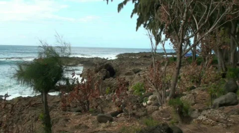 AS Stock Footage 686600