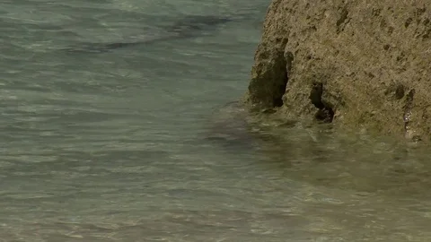 0006IW Video stock 73239933