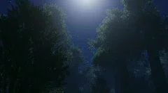 night stars