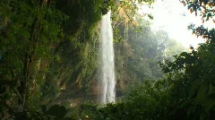 Waterfall jungle