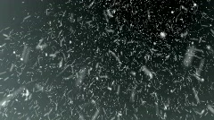 Snow Blizzard HD Loop