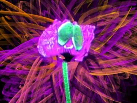 00079 VJ Loops  - LoopNeo 768 X 576 库存影片 10889018