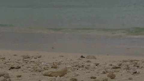 0007J2 Video stock 73239909