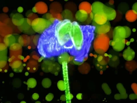 00081 VJ Loops  - LoopNeo 768 X 576 動画素材 10889021