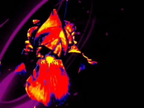 00082 VJ Loops  - LoopNeo 768 X 576 库存影片 10889023