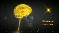 Neural energy into human brain