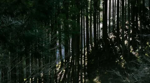 00083 Stock Footage 11672469