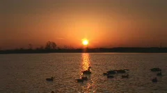 Sunrise Duck Hunting