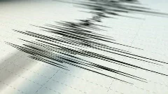 A close view of a seismograph arrow. 