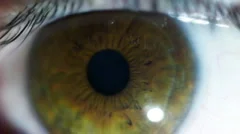 Eye macro close-up