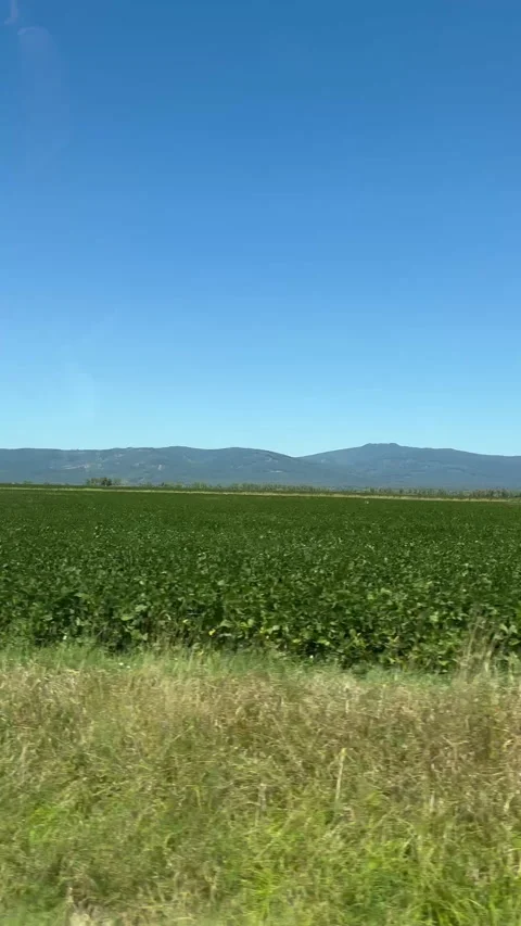 0009 Green Fields Stretching Toward Mountains, Captured From Moving Car Stock Footage 302884486