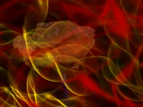 00095 VJ Loops  - LoopNeo 768 X 576 库存影片 10889070