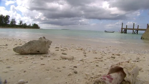 0009S2 Video stock 73239906