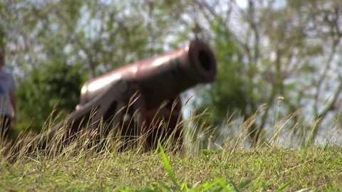 0009T2 Video stock 73303933