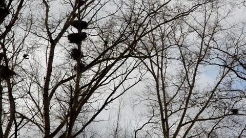 001 Stock Footage 275617634